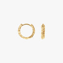 Small Sparkly Hoops