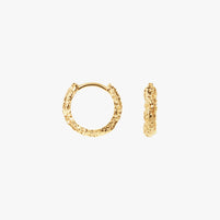 Small Sparkly Hoops