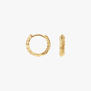Small Sparkly Hoops