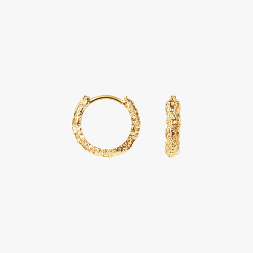 Small Sparkly Hoops