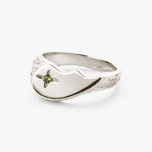 Shiny BFF Sparkly Ring