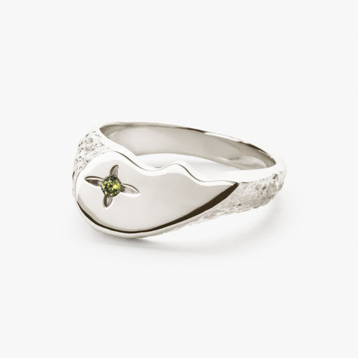 Shiny BFF Sparkly Ring