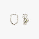 Small Sparkly Earrings