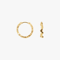 Small Shiny Sparkly Hoops